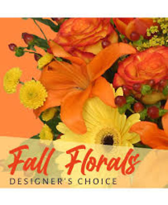 Fall Designer\'s Pick