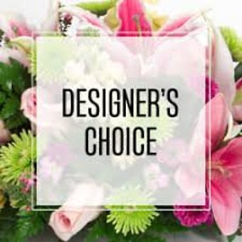 Designer Choice Administrative